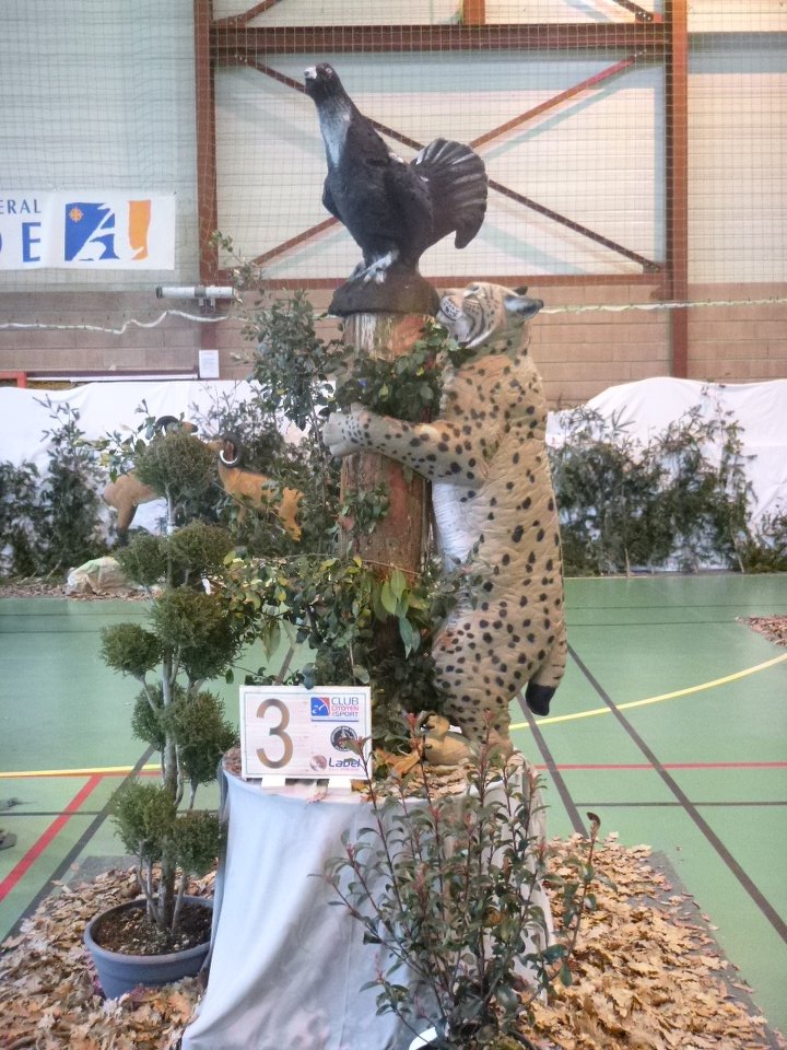 3D Indoor Castelnaudary (03/03/18)