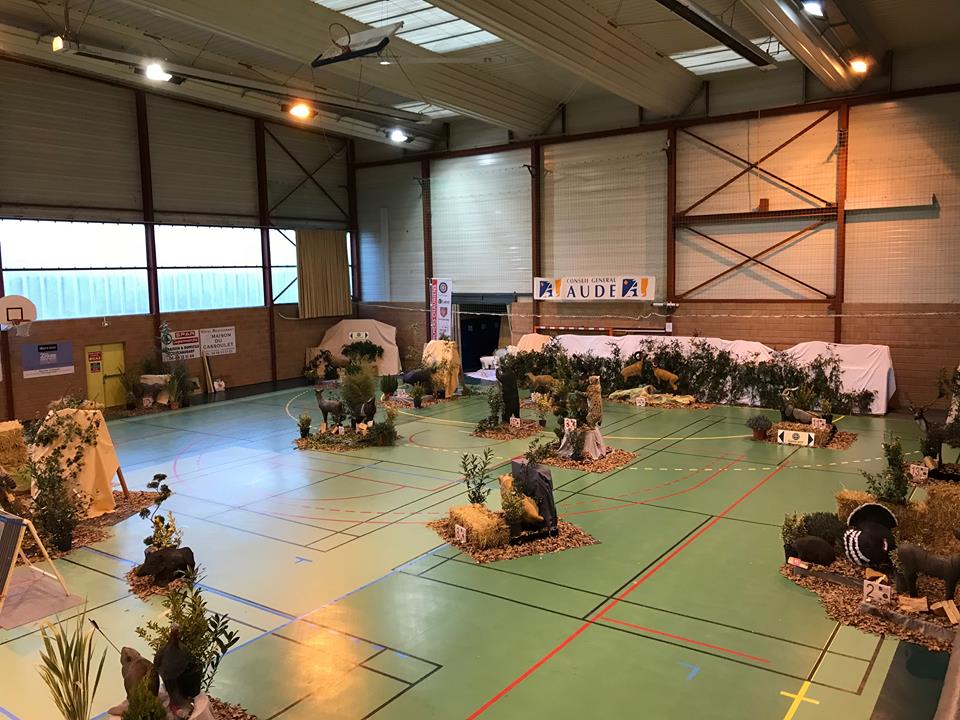 3D Indoor Castelnaudary (03/03/18)