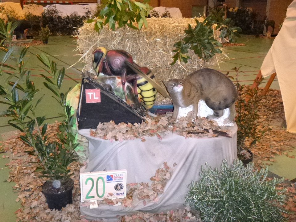 3D Indoor Castelnaudary (03/03/18)