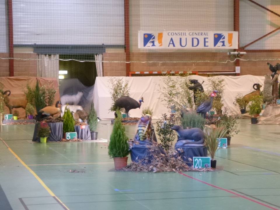 3D indoor Castelnaudary (23/02/19).