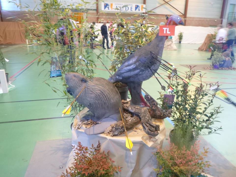 3D indoor Castelnaudary (23/02/19).