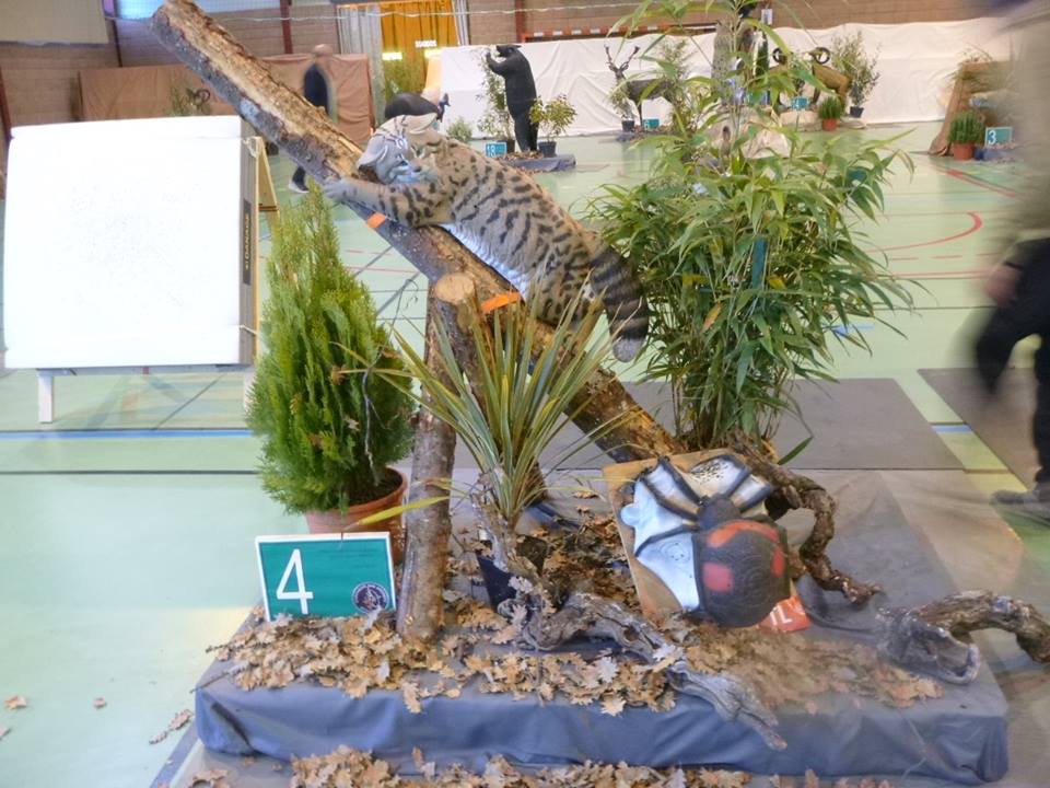 3D indoor Castelnaudary (23/02/19).