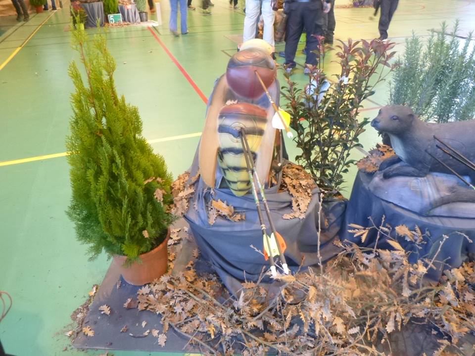 3D indoor Castelnaudary (23/02/19).