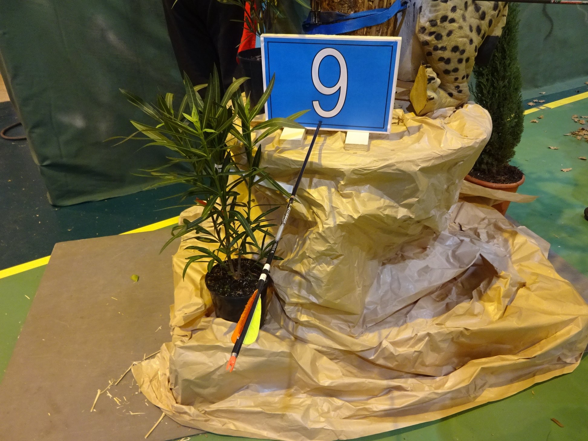 3D Indoor Castelnaudary (08/03/20).