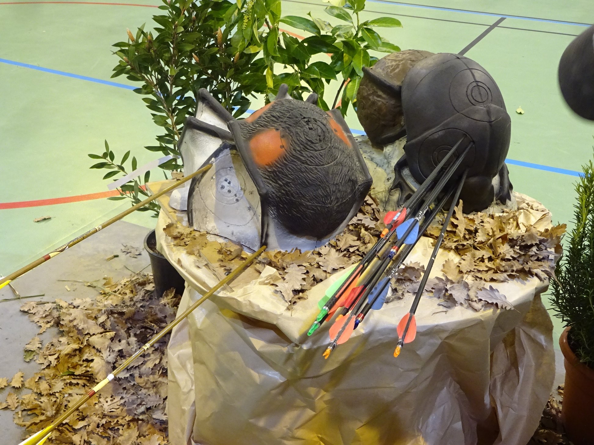 3D Indoor Castelnaudary (08/03/20).