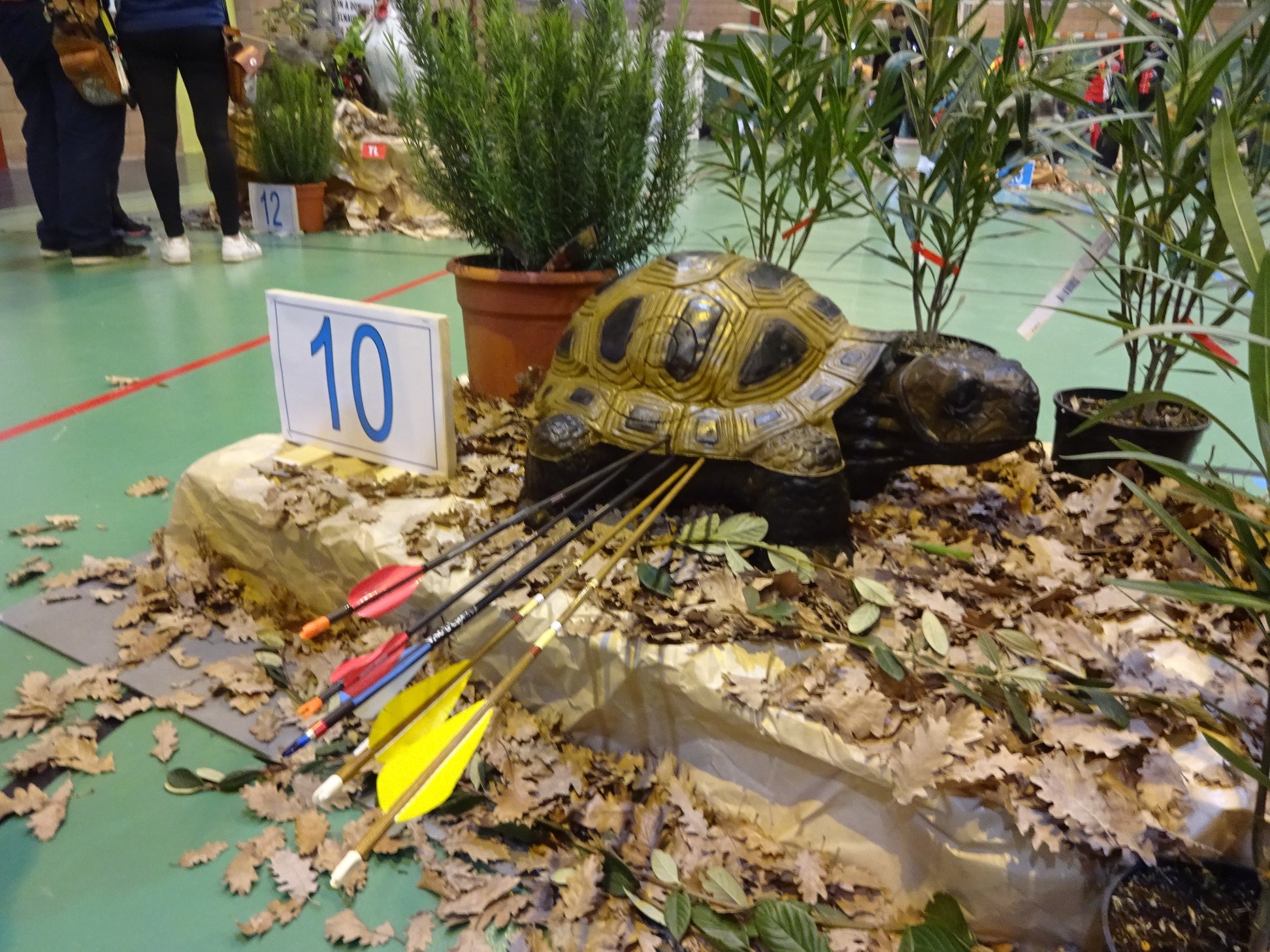 3D Indoor Castelnaudary (08/03/20).