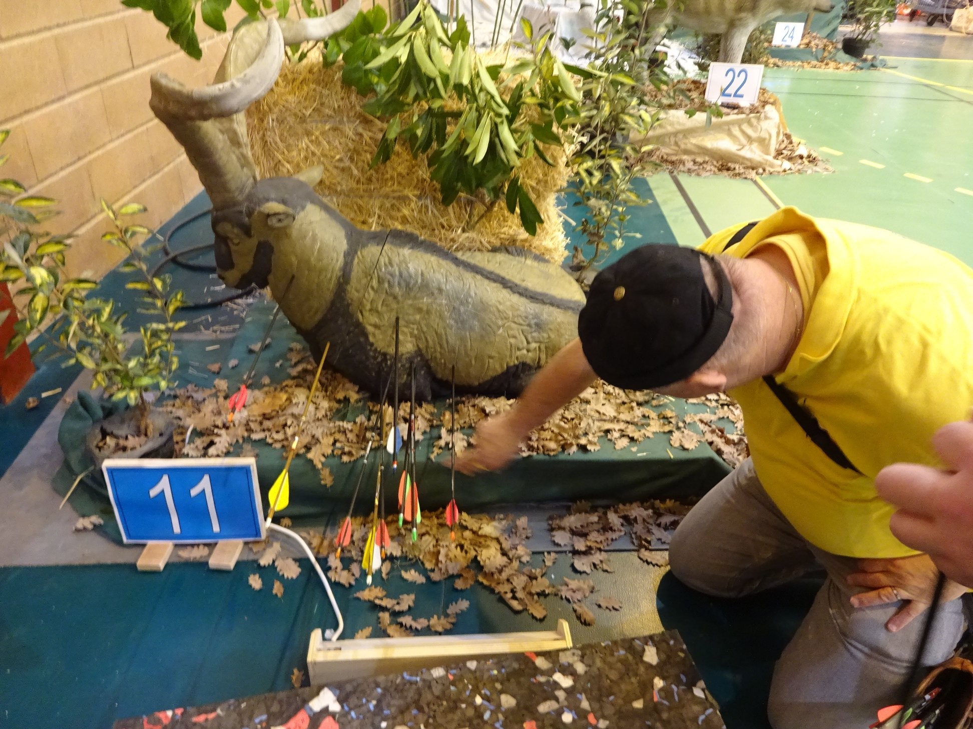 3D Indoor Castelnaudary (08/03/20).