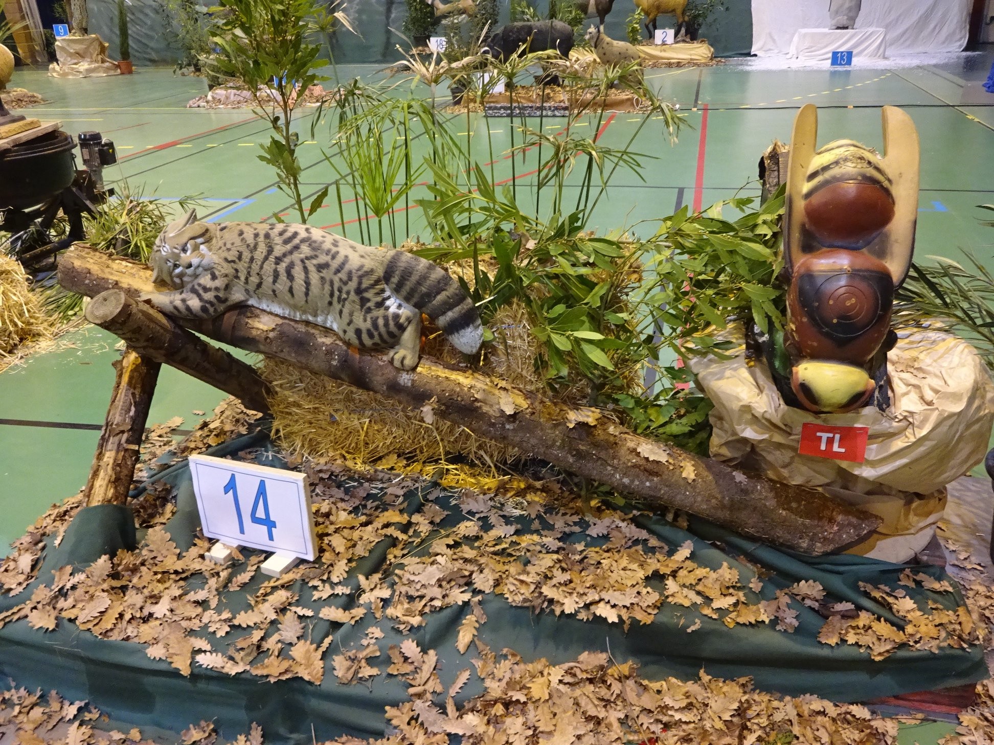 3D Indoor Castelnaudary (08/03/20).