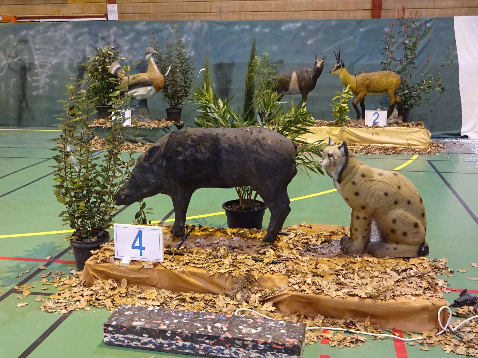 3D Indoor Castelnaudary (08/03/20).